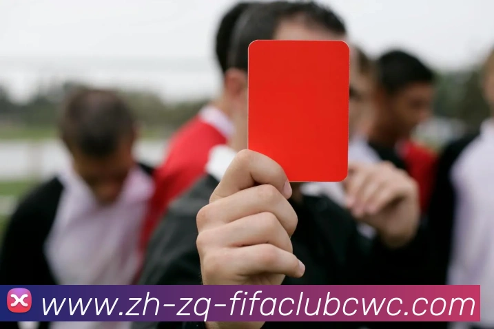 世界杯平台平台生态图