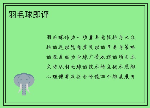 羽毛球即评
